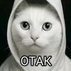 1ano_nim2