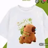 Animal vlog