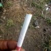 palmol355