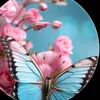 user5071612017945