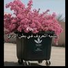 laila.alqarni7