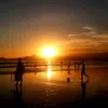 creator4433