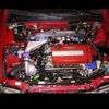 alif74262