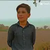 saeed.khan32129