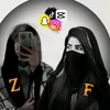 zf_822