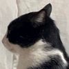 pe_de_peru
