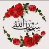 zaind6091