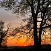 crosby_1230