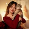 ilove_cat094