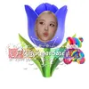 tulipadarosie