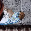 gloria.agudelo245