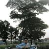 devan.wijaya03