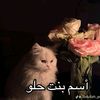 user5138616265419