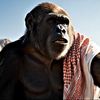 monkey_mahyil