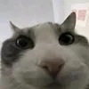 userxkbhy0rx99
