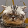 user5971233061985