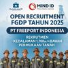 PT FREEPORT INDONESIA