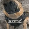 randythedog1
