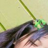 paskalialea