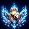 haroldorodrigues837