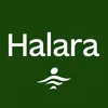 bestseller.halara