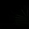 fabricioo_3