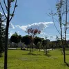 aminasaleem007