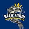 Bela Farm