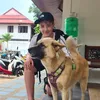 bambiwoof