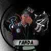 panda_9785