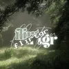 flirtgr