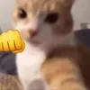 milos_paradise