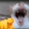 imnot_g4y7