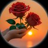 hayalim0063