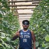 djaloe.farm