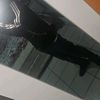ortiz_7012