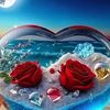 .my.love5567