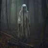 alihasnain76856