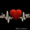 user7219295550185