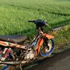 mcx_rrx