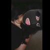 priv_perry2