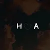 haiderxbrand1