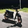 miodestayo28