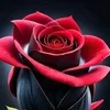 user9680230343522