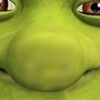 turtleyst