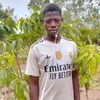 naaba529