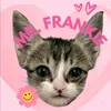 frankieislandboy