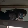 laniibearr00