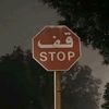 amir3439