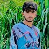 ali1361704